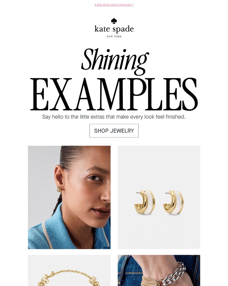 Screenshot of email with subject /media/emails/terms-of-adornment-2f3f4f-cropped-8e6c00ba.jpg
