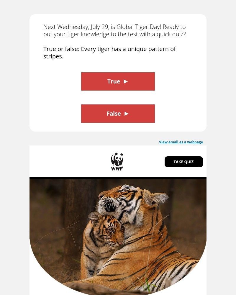 Screenshot of email with subject /media/emails/test-your-tiger-knowledge-in-2-minutes-759cea-cropped-c3ed3fee.jpg