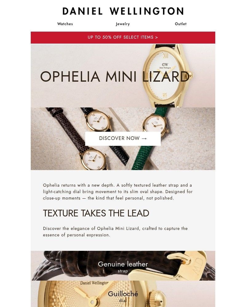 Screenshot of email sent to a Daniel Wellington Newsletter subscriber
