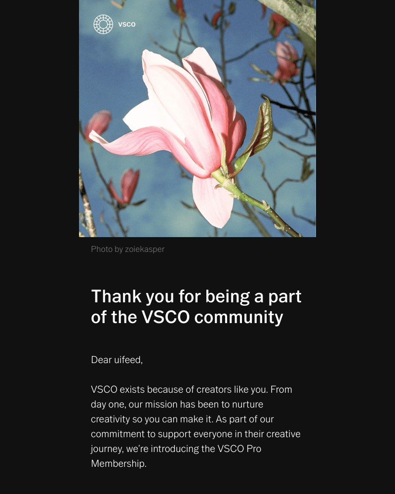 Screenshot of email with subject /media/emails/thank-you-for-being-a-part-of-the-vsco-community-939519-cropped-b4f2bbb5.jpg