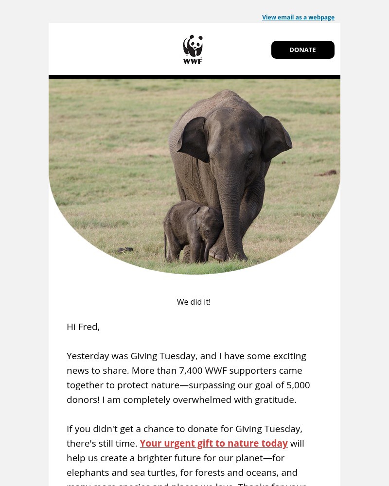 Screenshot of email with subject /media/emails/thank-you-so-much-fred-739490-cropped-e2c2d891.jpg