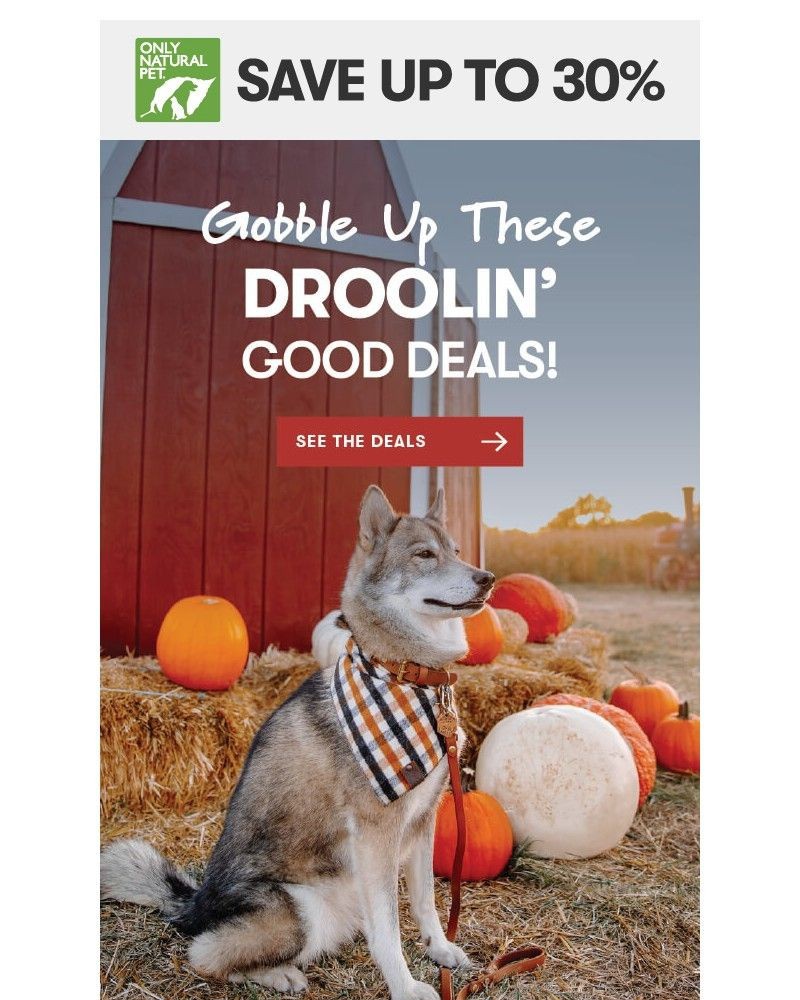 Screenshot of email with subject /media/emails/thankful-droolin-good-deals-8229cf-cropped-801f7edc.jpg