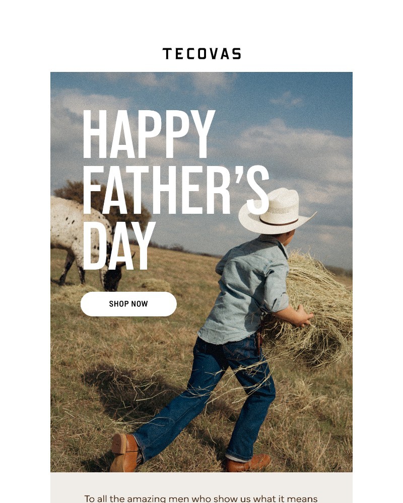 Screenshot of email with subject /media/emails/thanks-dad-a57eb4-cropped-491e6728.jpg