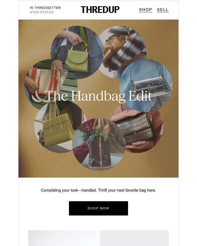 Screenshot of email with subject /media/emails/thanks-its-thrifted-you-with-this-bag-8638f9-cropped-dd758573.jpg