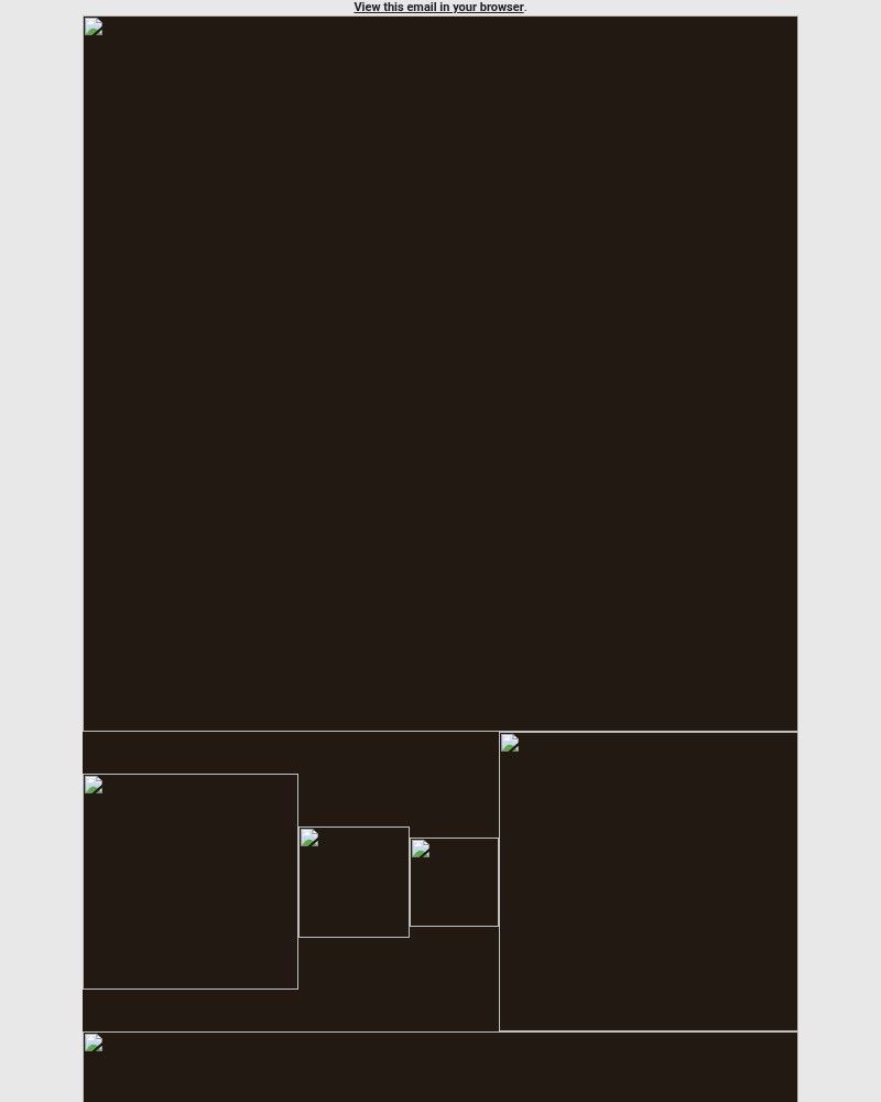 Screenshot of email with subject /media/emails/thanksgiving-essentials-build-game-create-together-534db5-cropped-c693b18b.jpg