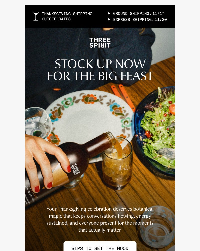 Screenshot of email with subject /media/emails/thanksgiving-is-coming-are-you-ready-997d9d-cropped-12aa0e6e.jpg