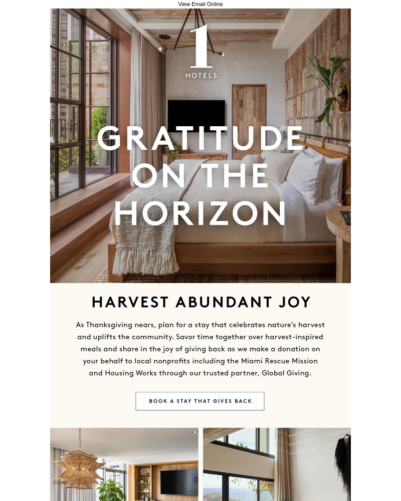 Screenshot of email sent to a 1 Hotels Newsletter subscriber