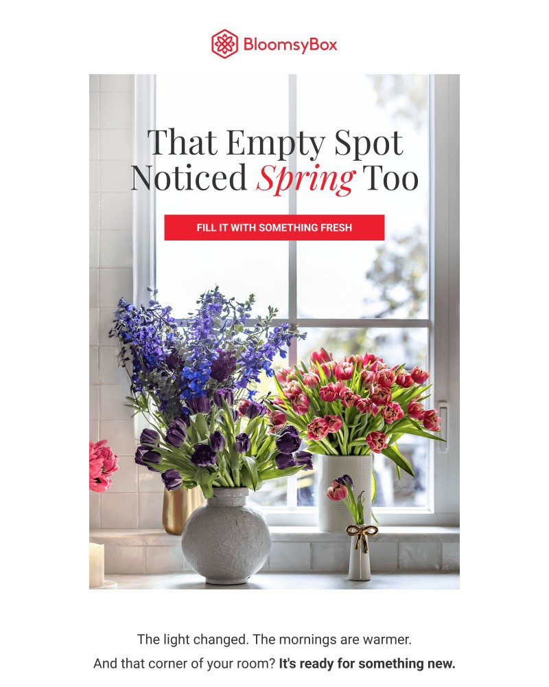 Screenshot of email with subject /media/emails/that-corner-knows-its-spring-already-2cbe04-cropped-8f2b2e3a.jpg