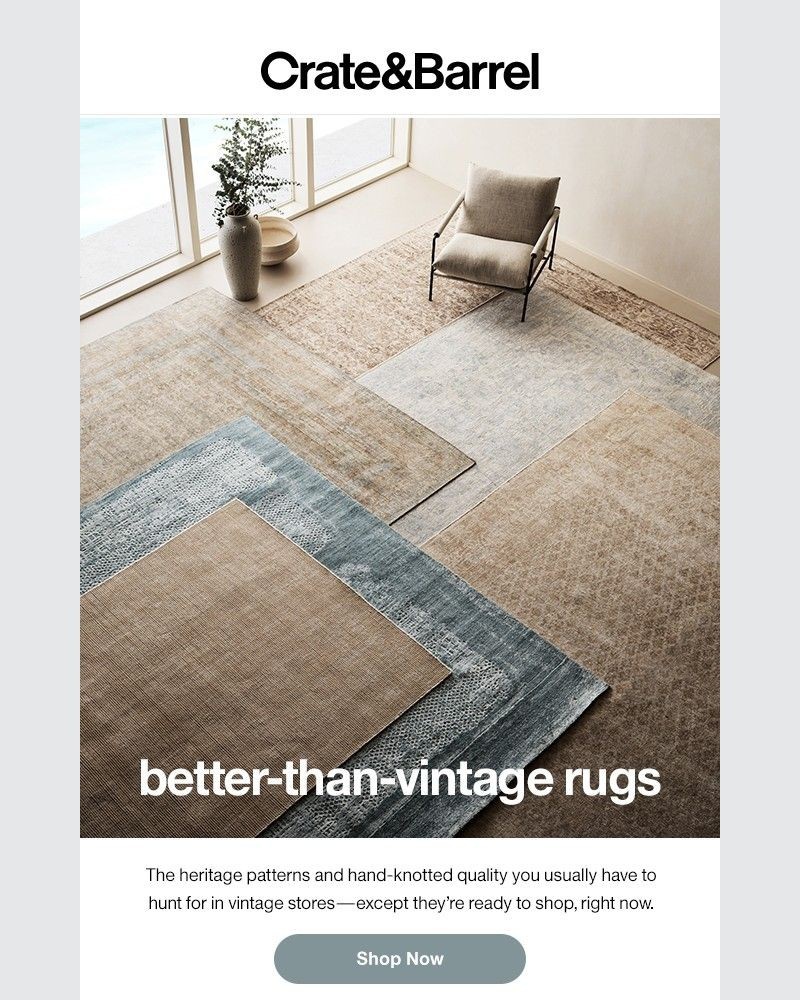 Screenshot of email with subject /media/emails/that-gorgeous-vintage-rug-look-crafted-for-modern-life-24164c-cropped-c46f9992.jpg