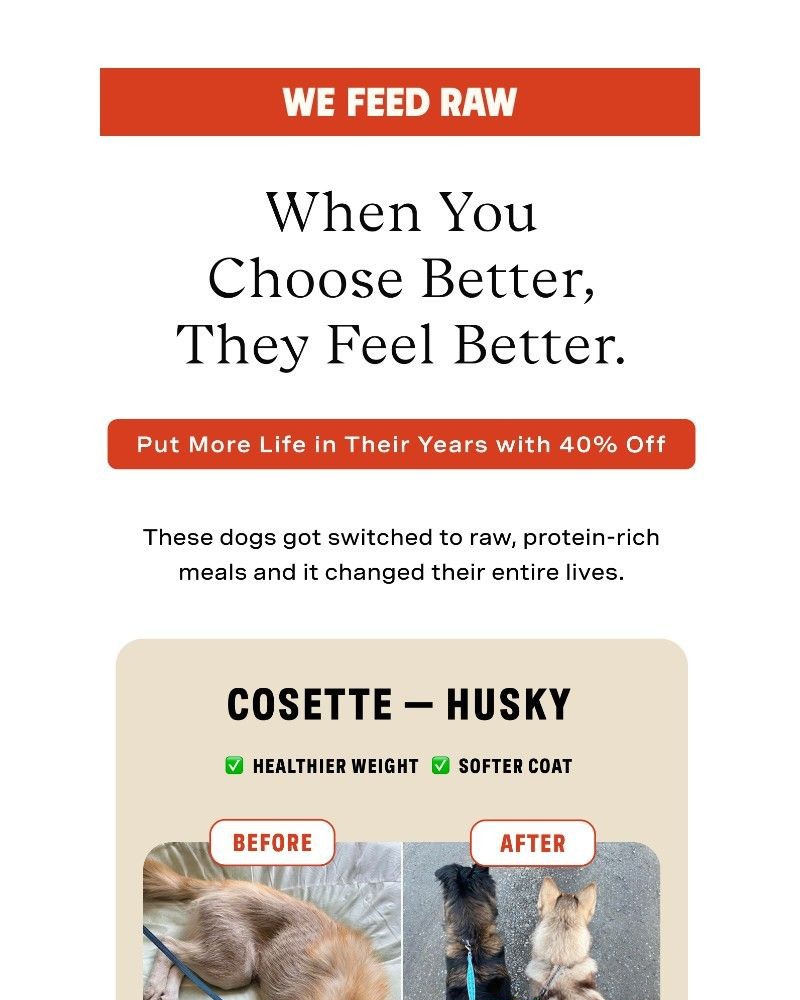 Screenshot of email with subject /media/emails/thats-the-same-dog-691a4c-cropped-5551a178.jpg