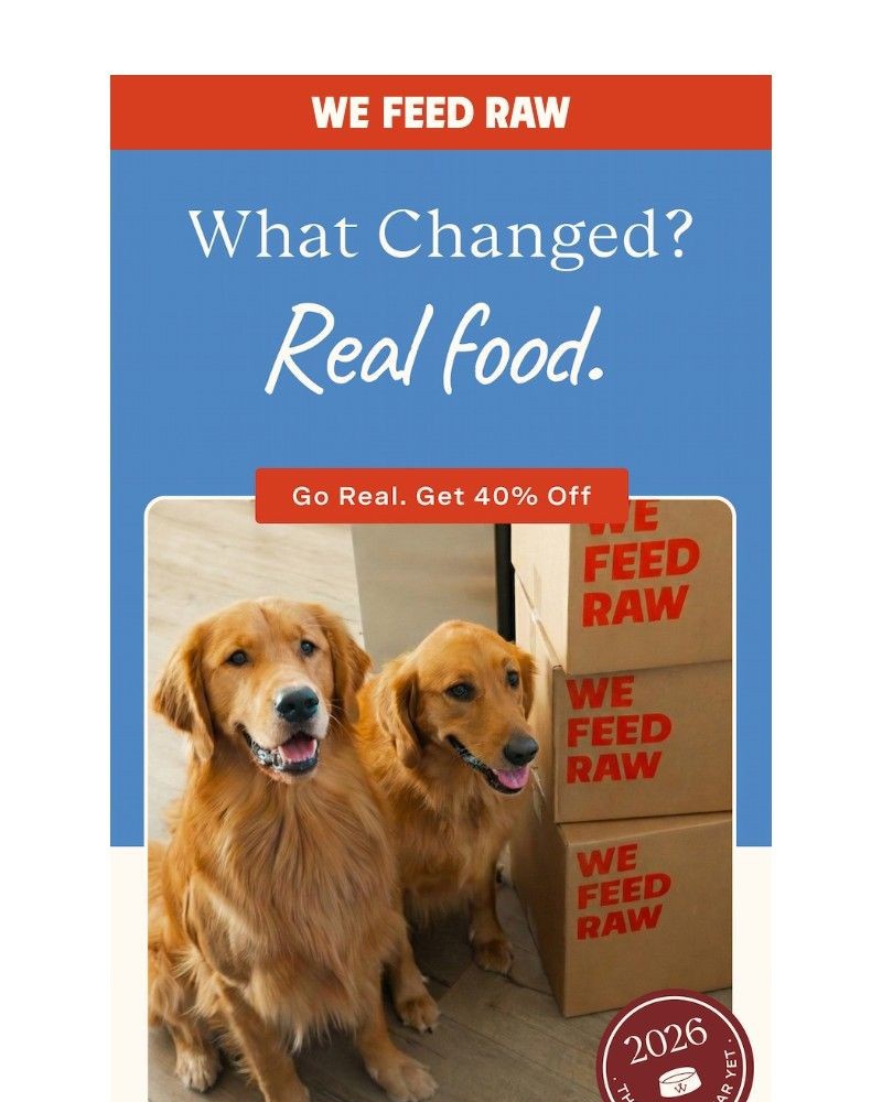 Screenshot of email with subject /media/emails/thats-the-same-dog-f322dd-cropped-6add8f27.jpg