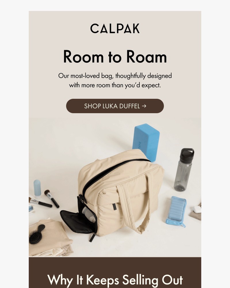 Screenshot of email with subject /media/emails/the-1-bag-travelers-swear-by-430ff5-cropped-7e1c3ca2.jpg