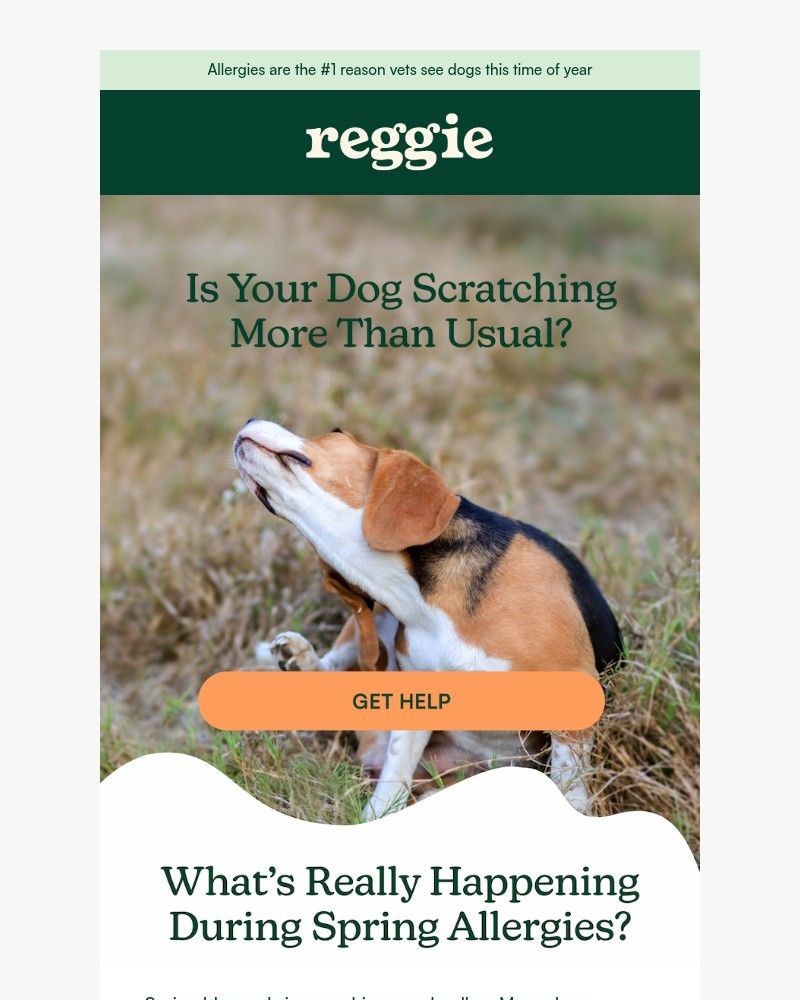 Screenshot of email with subject /media/emails/the-1-question-vets-get-in-april-04a26b-cropped-1277f330.jpg