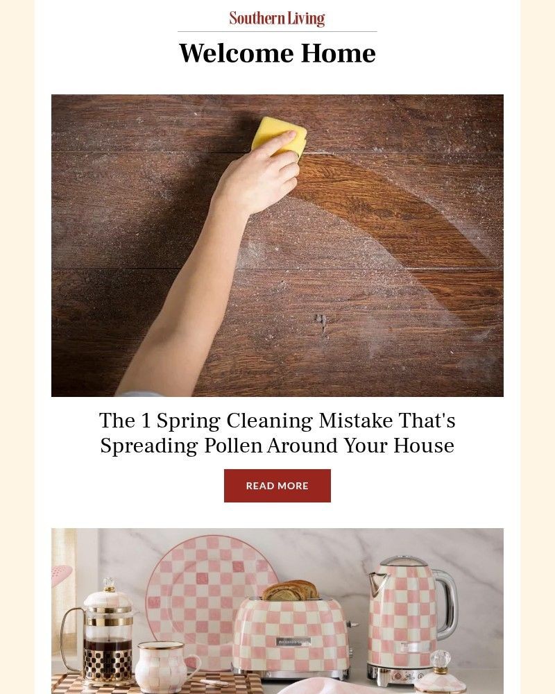 Screenshot of email with subject /media/emails/the-1-spring-cleaning-mistake-thats-spreading-pollen-around-your-house-2ed20c-cro_ePCGVub.jpg