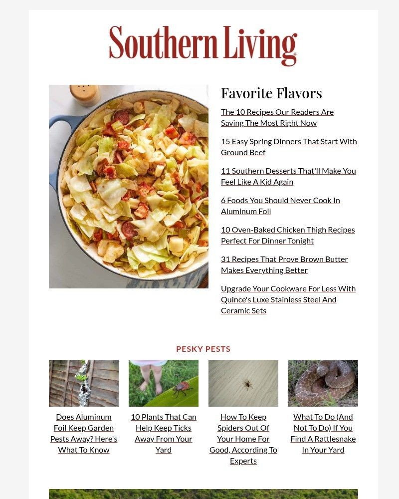 Screenshot of email with subject /media/emails/the-10-recipes-our-readers-are-saving-the-most-right-now-e1a661-cropped-9b7029b0.jpg