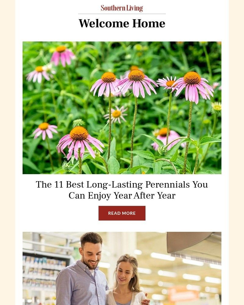 Screenshot of email with subject /media/emails/the-11-best-long-lasting-perennials-you-can-enjoy-year-after-year-5b067a-cropped-1cb8b672.jpg
