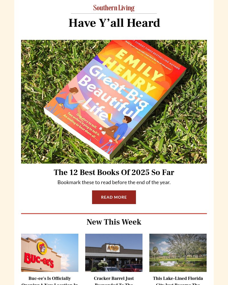 Screenshot of email with subject /media/emails/the-12-best-books-of-2025-so-far-9b2b6f-cropped-2d106e6e.jpg