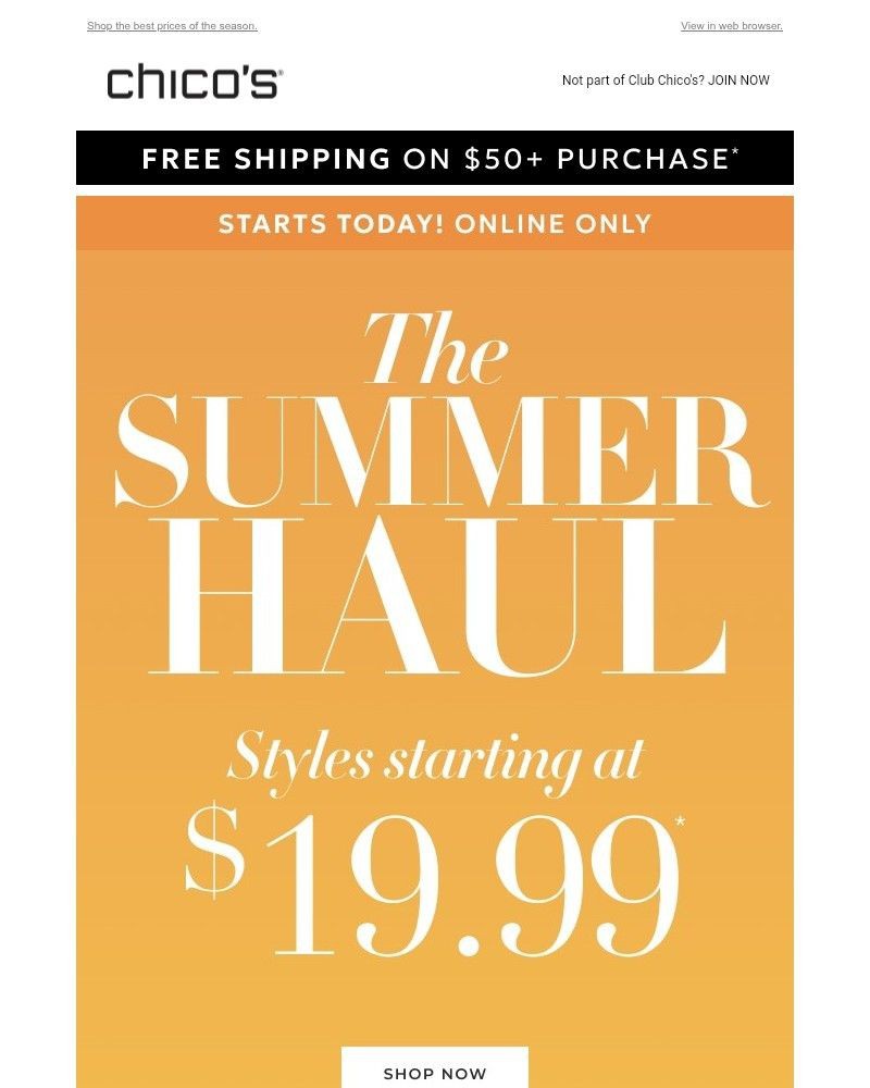 Screenshot of email with subject /media/emails/the-1999-summer-haul-is-online-now-59a6b7-cropped-96558ade.jpg