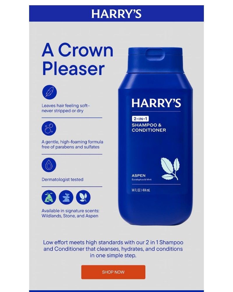 Screenshot of email sent to a Harry's Cart abandoner
