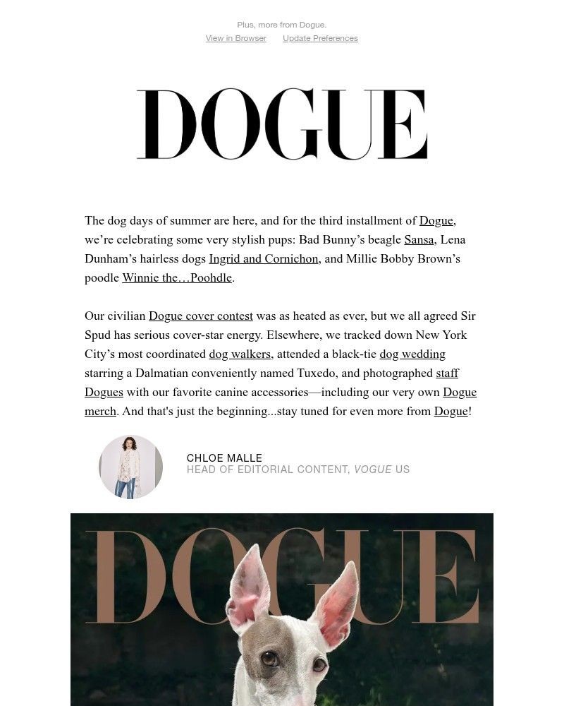 Screenshot of email with subject /media/emails/the-2026-dogue-competition-winner-is-here-4d89be-cropped-5098551d.jpg
