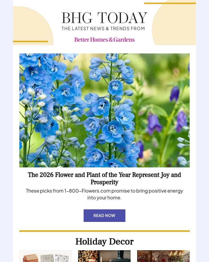 Screenshot of email with subject /media/emails/the-2026-flower-and-plant-of-the-year-represent-joy-and-prosperity-910ffc-cropped_Rk6gSmf.jpg