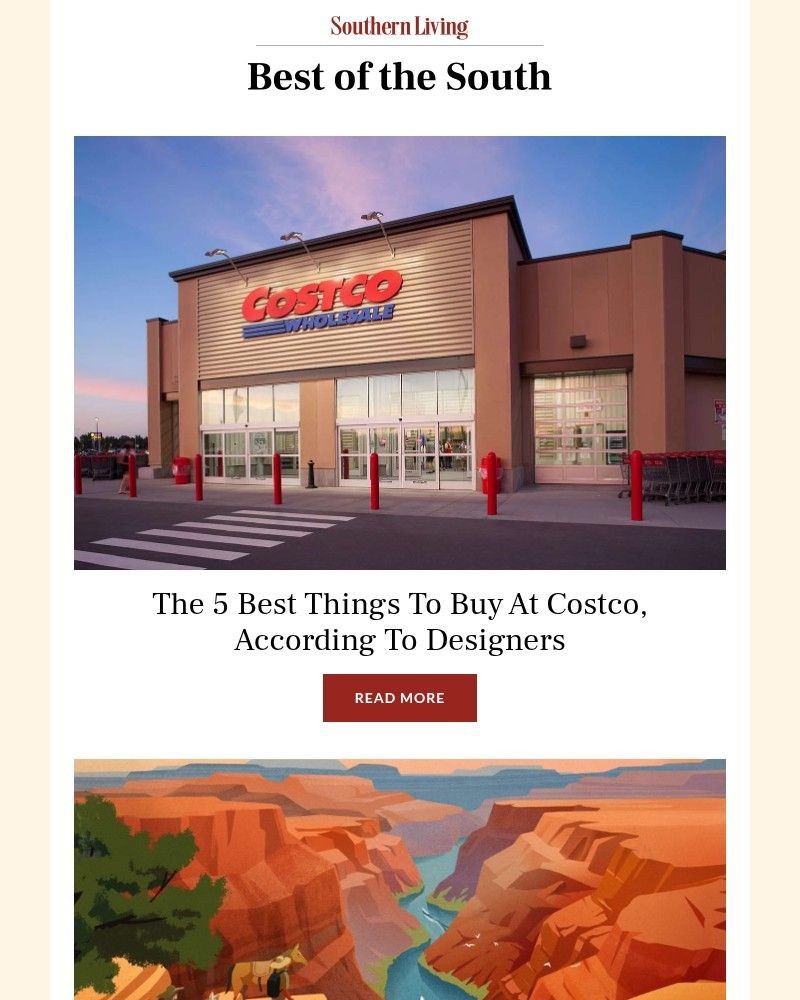 Screenshot of email with subject /media/emails/the-5-best-things-to-buy-at-costco-according-to-designers-e1ea86-cropped-6d7af968.jpg