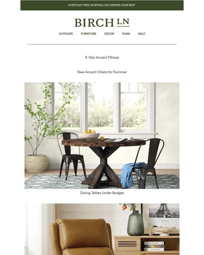 Screenshot of email with subject /media/emails/the-5-star-accent-pillows-everyone-is-talking-about-1125e8-cropped-191d6e12.jpg