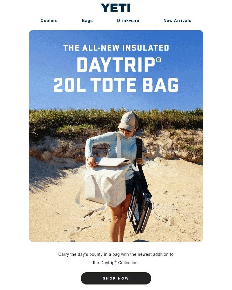 Screenshot of email with subject /media/emails/the-all-new-insulated-tote-bag-is-here-b281c3-cropped-9499fbb5.jpg