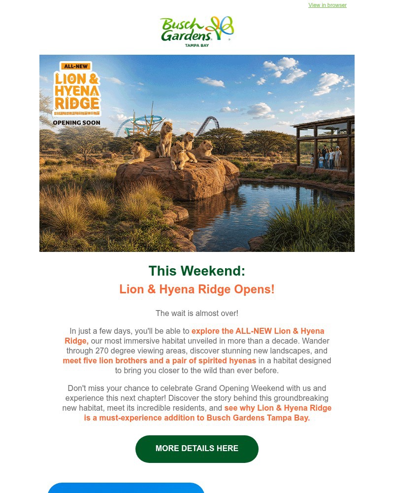Screenshot of email with subject /media/emails/the-all-new-lion-hyena-ridge-opens-this-saturday-065ce8-cropped-79796736.jpg
