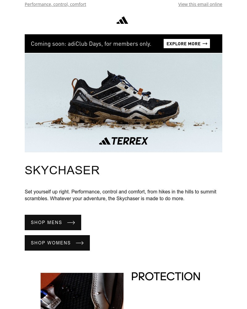 Screenshot of email with subject /media/emails/the-all-new-skychaser-hiking-shoe-c7ee32-cropped-88a602b2.jpg