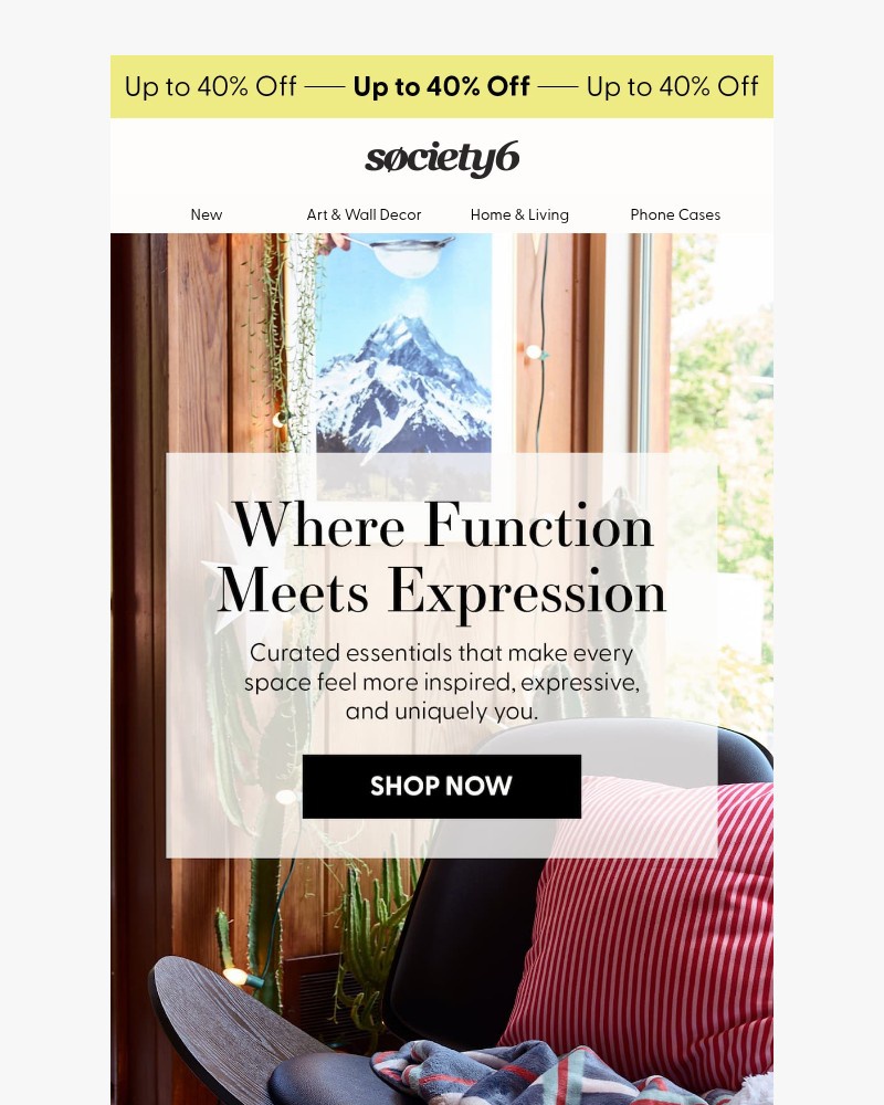 Screenshot of email sent to a Society6 Newsletter subscriber