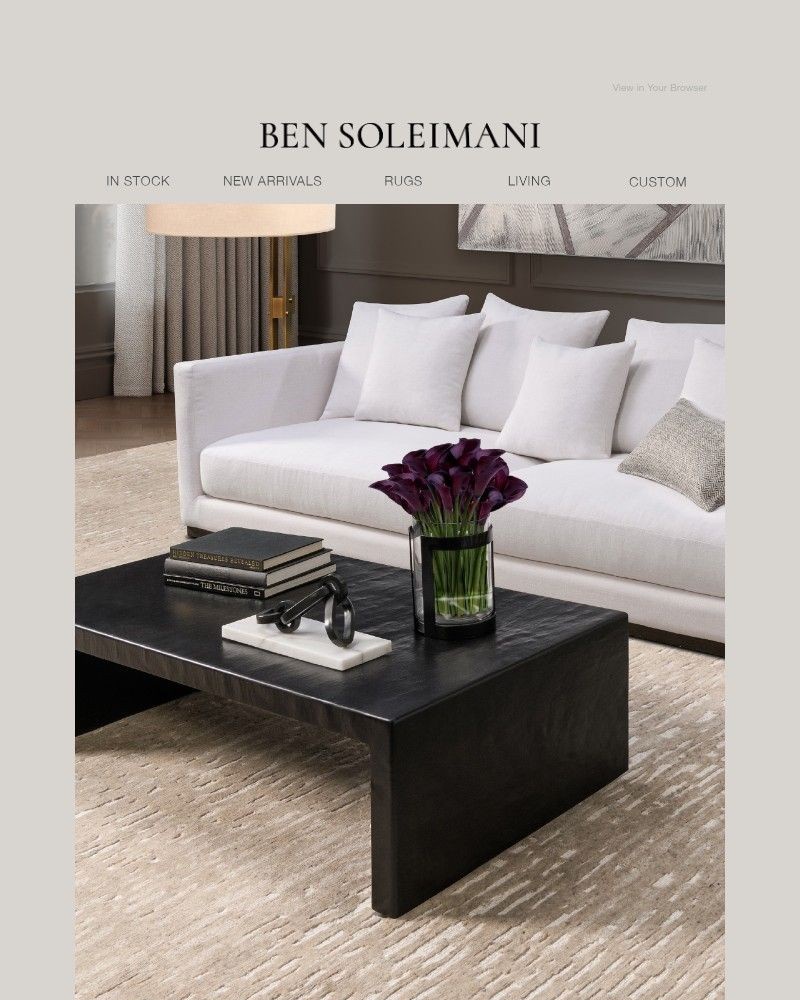 Screenshot of email sent to a ANNA by RadLabs Cart abandoner