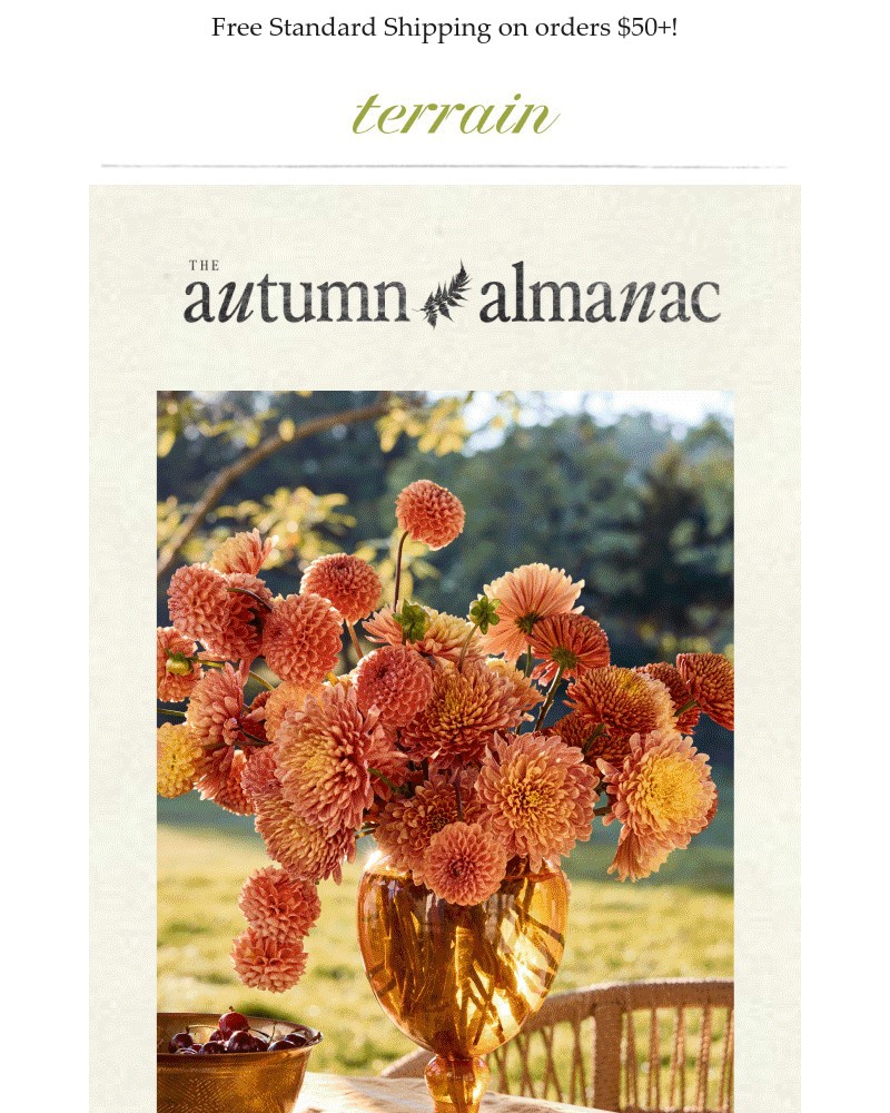 Screenshot of email with subject /media/emails/the-autumn-almanac-fall-shop-is-open-06f5a3-cropped-2f2573d4.jpg