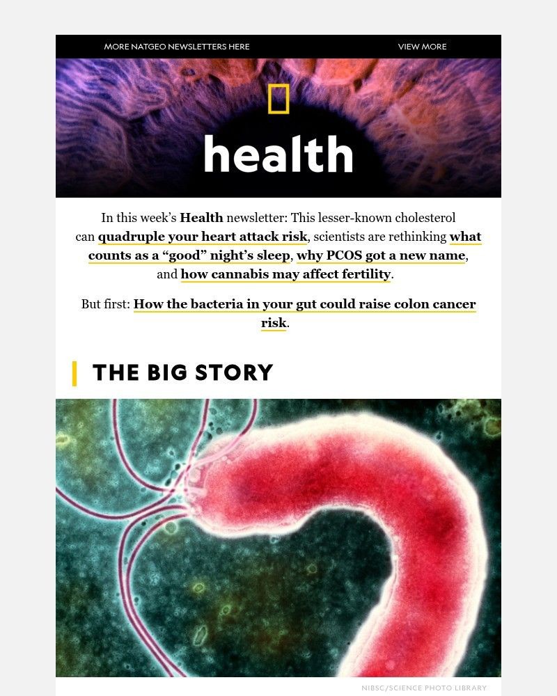 Screenshot of email with subject /media/emails/the-bacteria-in-your-gut-can-raise-colon-cancer-risk-and-the-real-science-of-grea_iNmmm3x.jpg