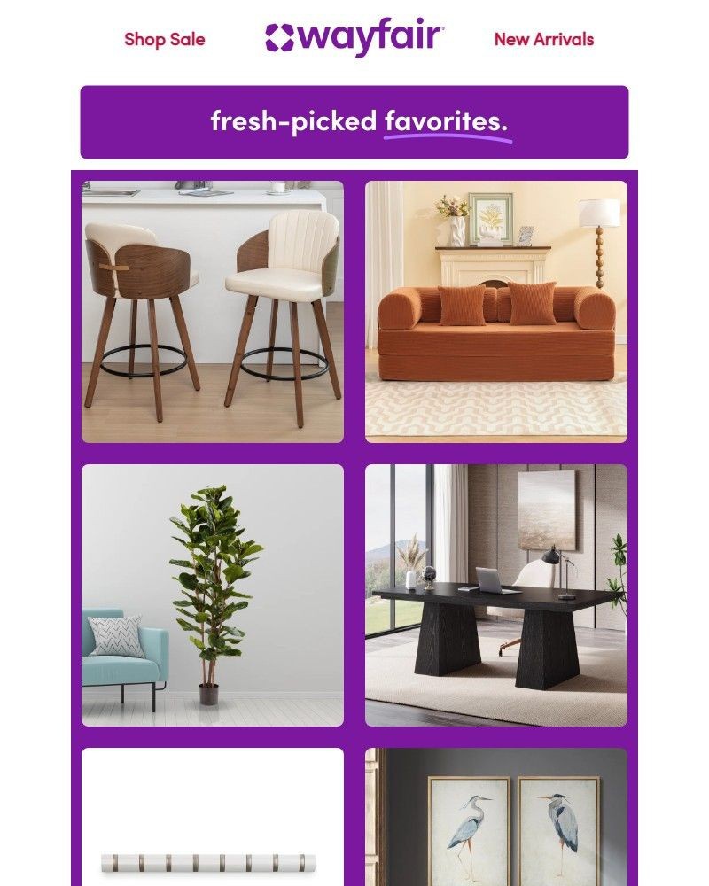 Screenshot of email sent to a Wayfair Newsletter subscriber