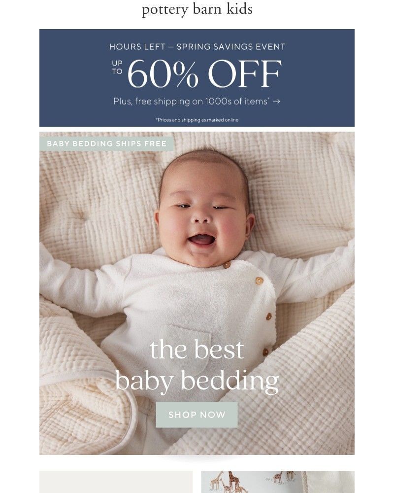 Screenshot of email with subject /media/emails/the-best-baby-bedding-hours-left-to-save-139ef0-cropped-24faceac.jpg