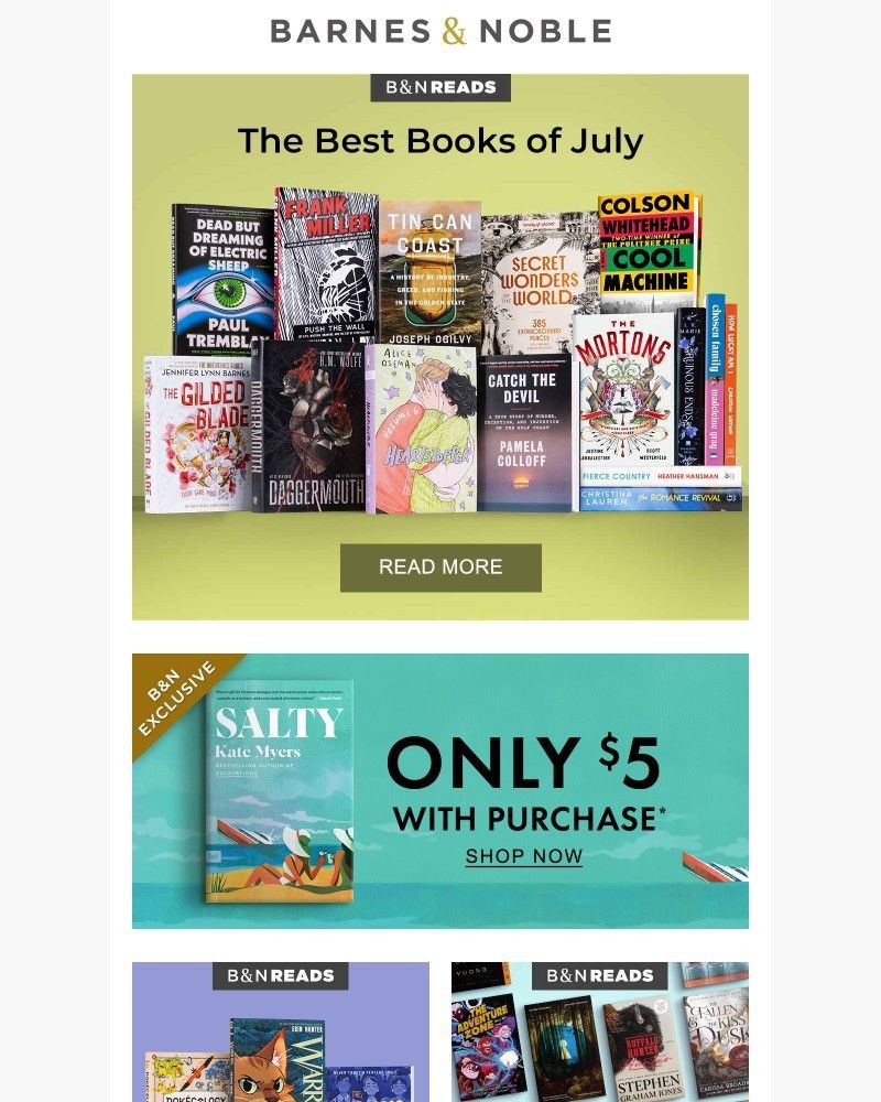 Screenshot of email sent to a Barnes and Noble Newsletter subscriber