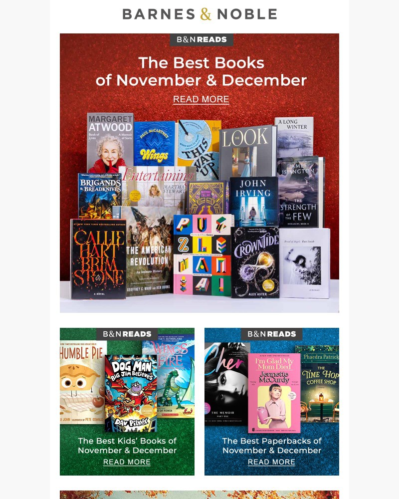 Screenshot of email with subject /media/emails/the-best-books-of-the-season-36e9de-cropped-ab604320.jpg