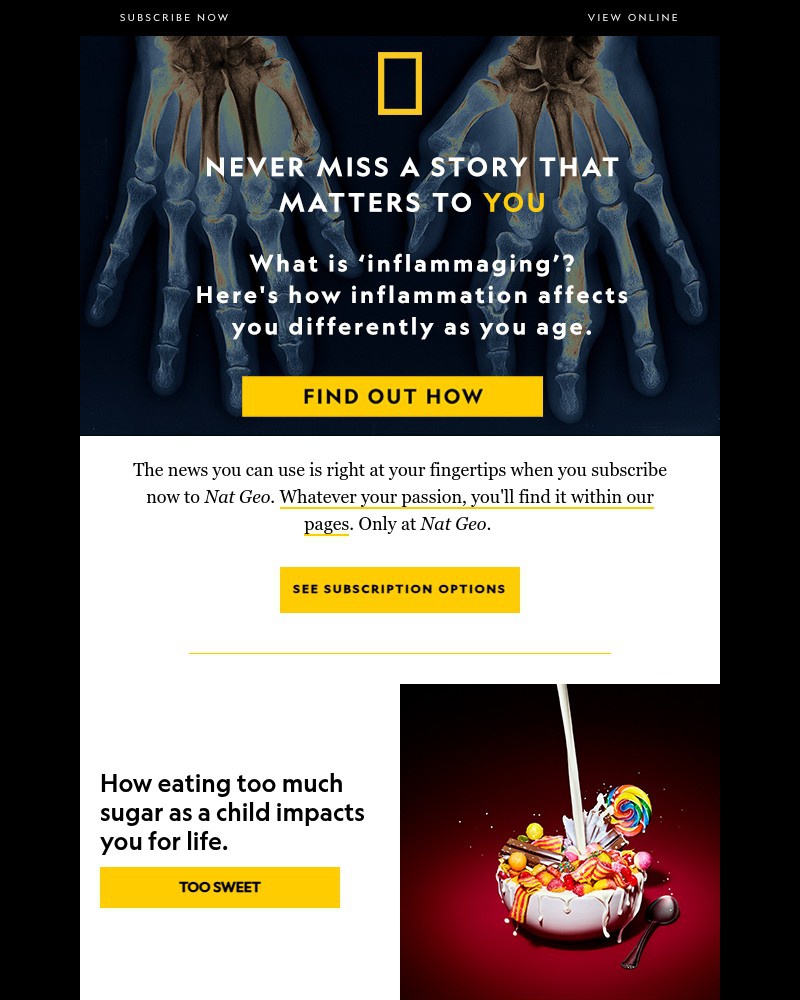 Screenshot of email with subject /media/emails/the-best-brain-foods-plus-combating-inflammation-at-any-age-subscribe-to-read-jus_hfMzun2.jpg