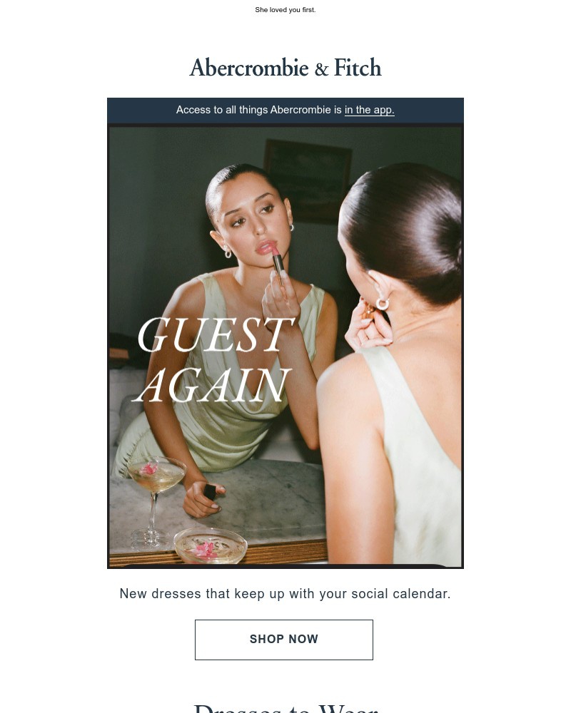 Screenshot of email with subject /media/emails/the-best-dressed-guest-of-honor-a064a6-cropped-0e5da4da.jpg