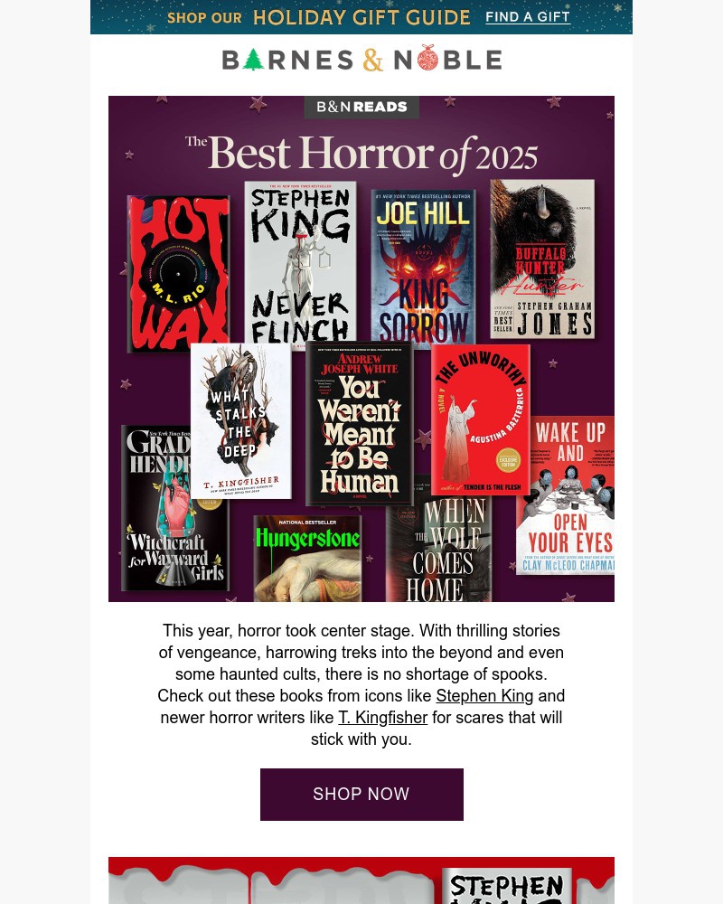 Screenshot of email with subject /media/emails/the-best-horror-books-of-2025-abe72c-cropped-05af7295.jpg