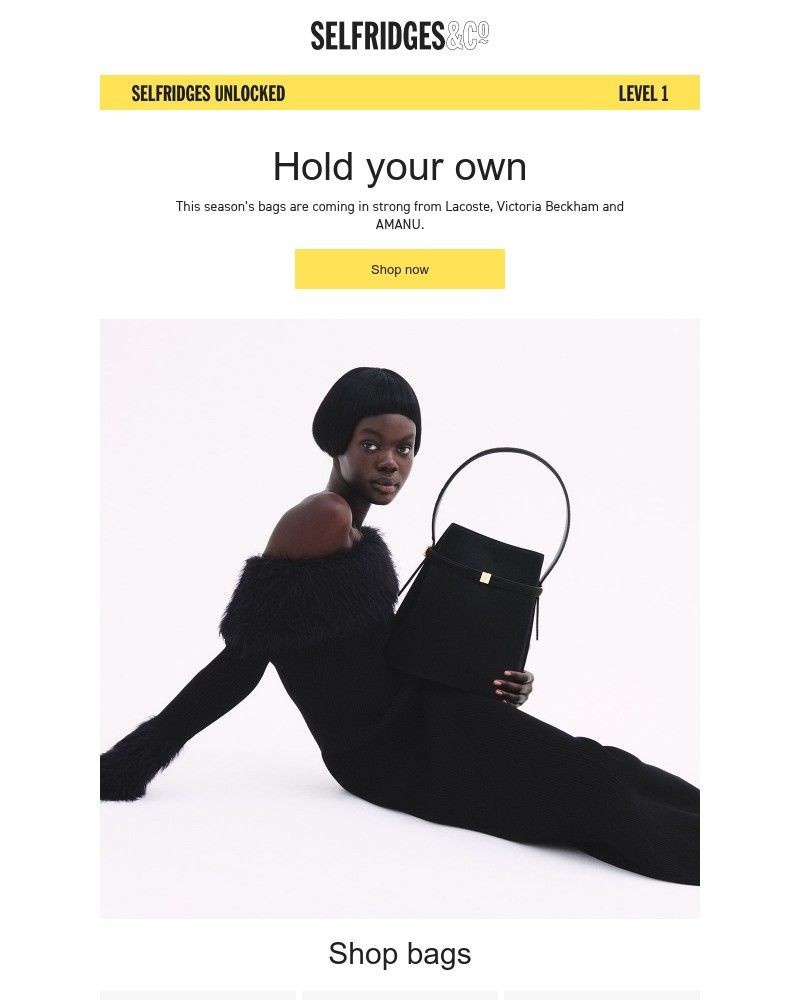 Screenshot of email sent to a Selfridges Newsletter subscriber