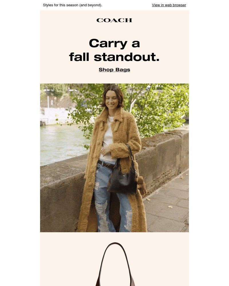Screenshot of email with subject /media/emails/the-best-of-fall-bags-23db56-cropped-c781f12e.jpg