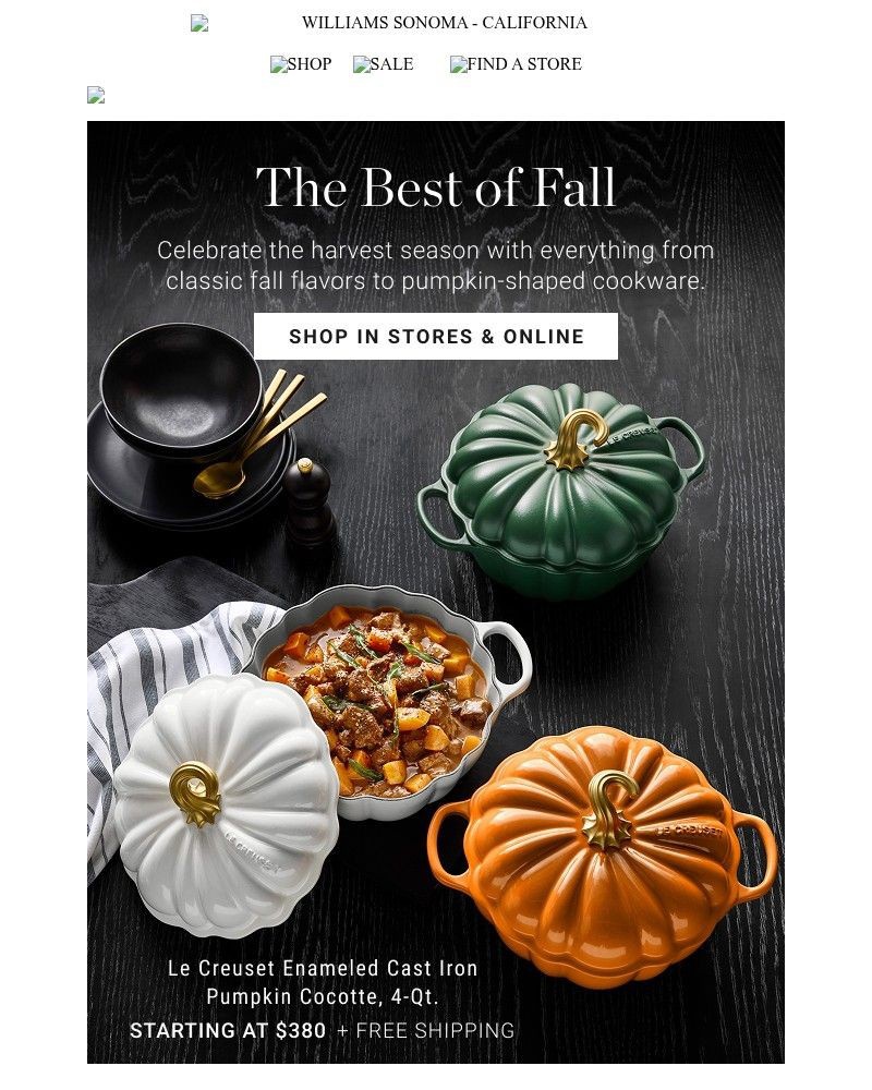 Screenshot of email with subject /media/emails/the-best-of-fall-has-arrived-3a84f0-cropped-529bbb65.jpg