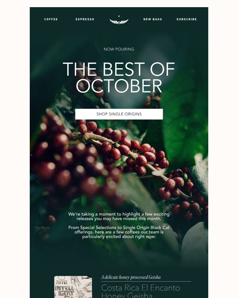 Screenshot of email with subject /media/emails/the-best-of-october-7579b4-cropped-accfdd67.jpg