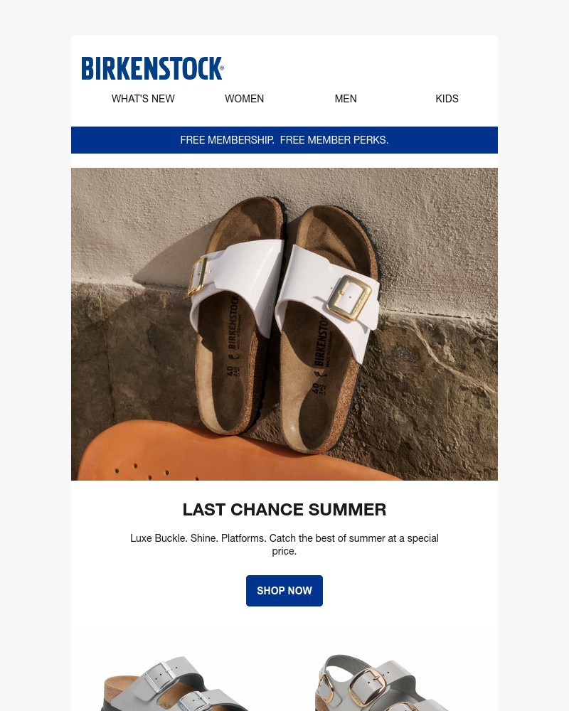 Screenshot of email with subject /media/emails/the-best-of-summer-at-a-special-price-91d551-cropped-de94da5a.jpg
