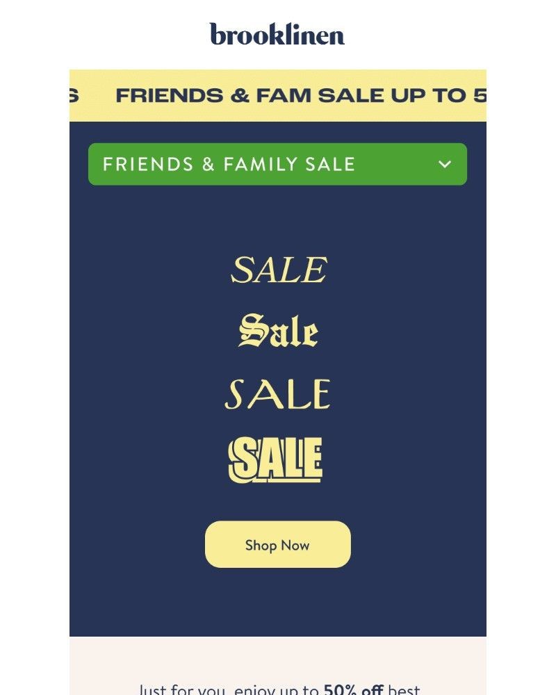Screenshot of email with subject /media/emails/the-best-of-the-best-for-friends-fam-sale-7b497c-cropped-d4f3ebcf.jpg