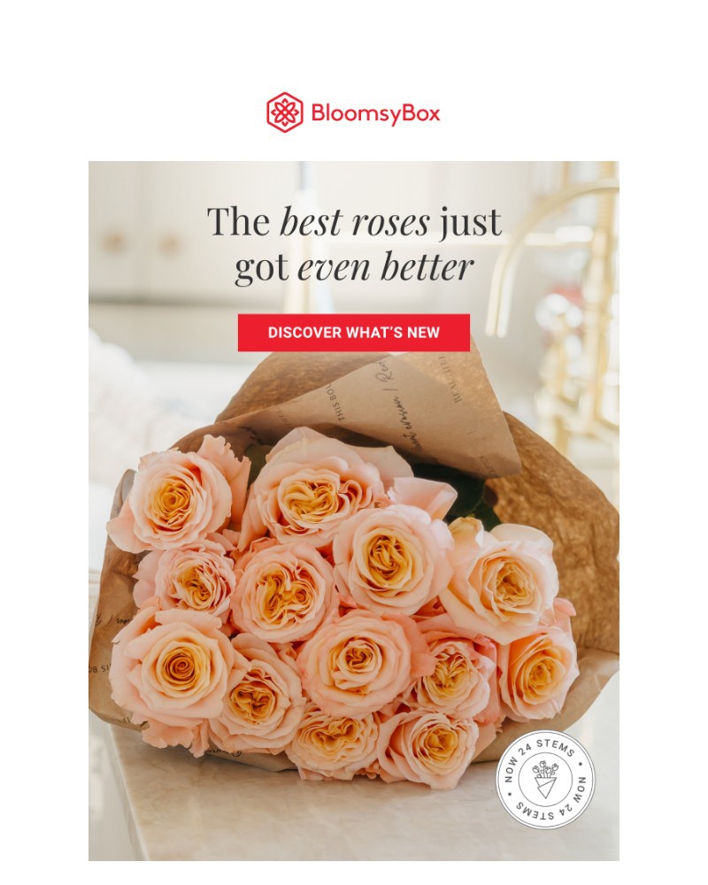 Screenshot of email with subject /media/emails/the-best-roses-just-got-even-better-e1eedf-cropped-cead4878.jpg