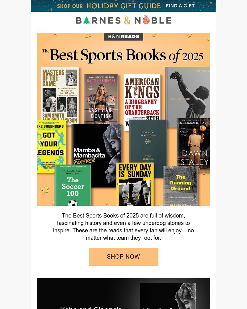 Screenshot of email with subject /media/emails/the-best-sports-books-of-2025-93ef67-cropped-8ff1d070.jpg