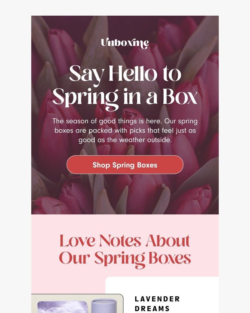 Screenshot of email with subject /media/emails/the-best-spring-gift-idea-wrapped-up-e29b69-cropped-bc479d20.jpg